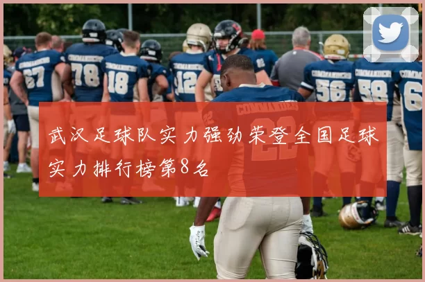 武汉足球队实力强劲荣登全国足球实力排行榜第8名