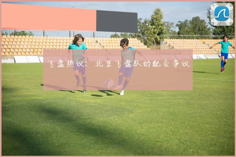 飞盘热议：北京飞盘队的配合争议