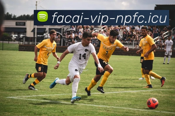 乐竞体育平台生态图